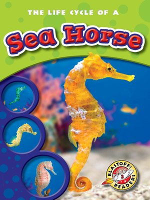 cover image of The Life Cycle of a Sea Horse